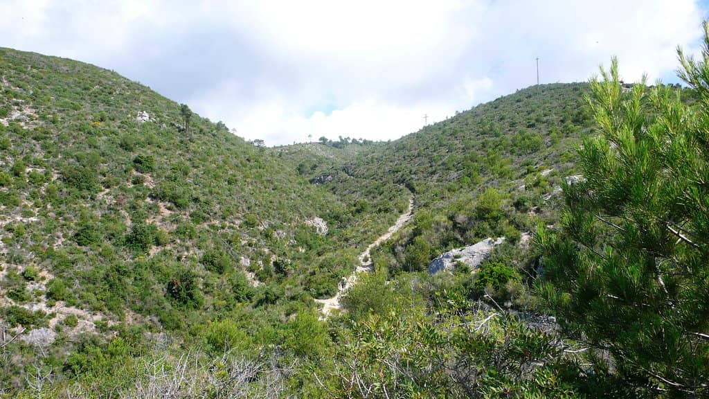 Panoramic Sea Vistas