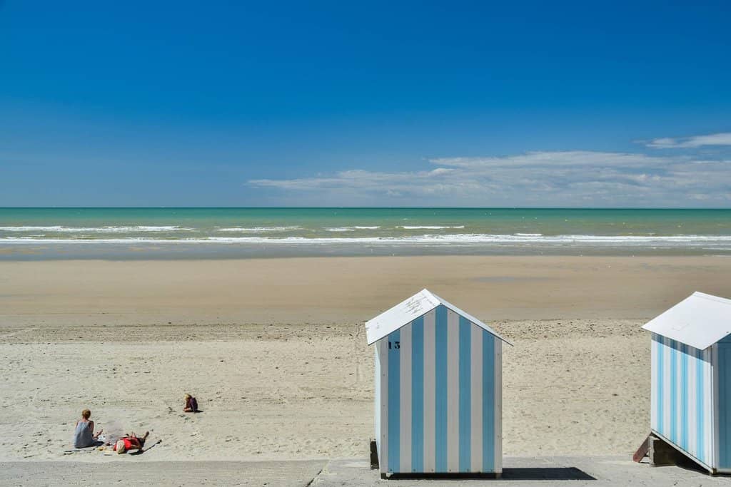 Dog-Friendly Paradise