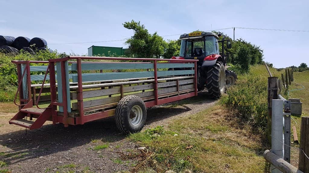 Adorable Animal Encounters