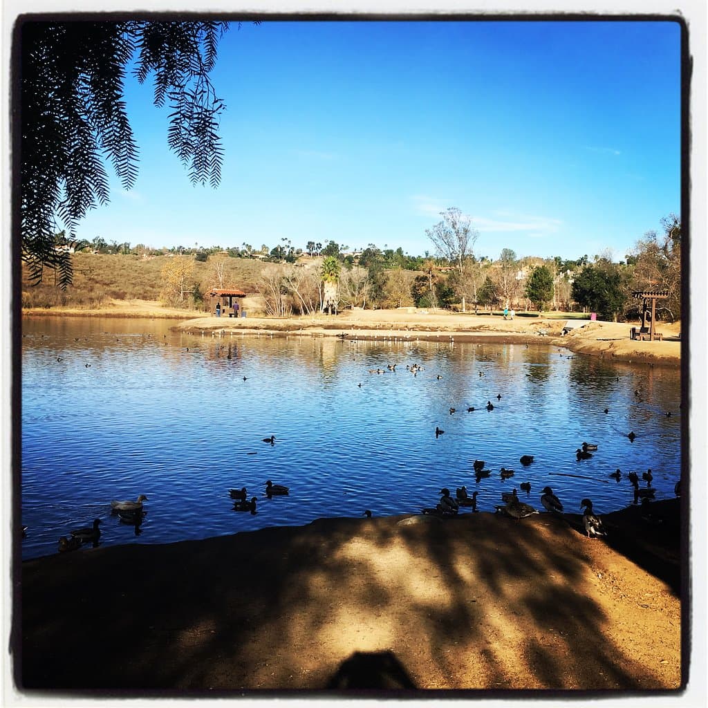 Kit Carson Park Escondido California