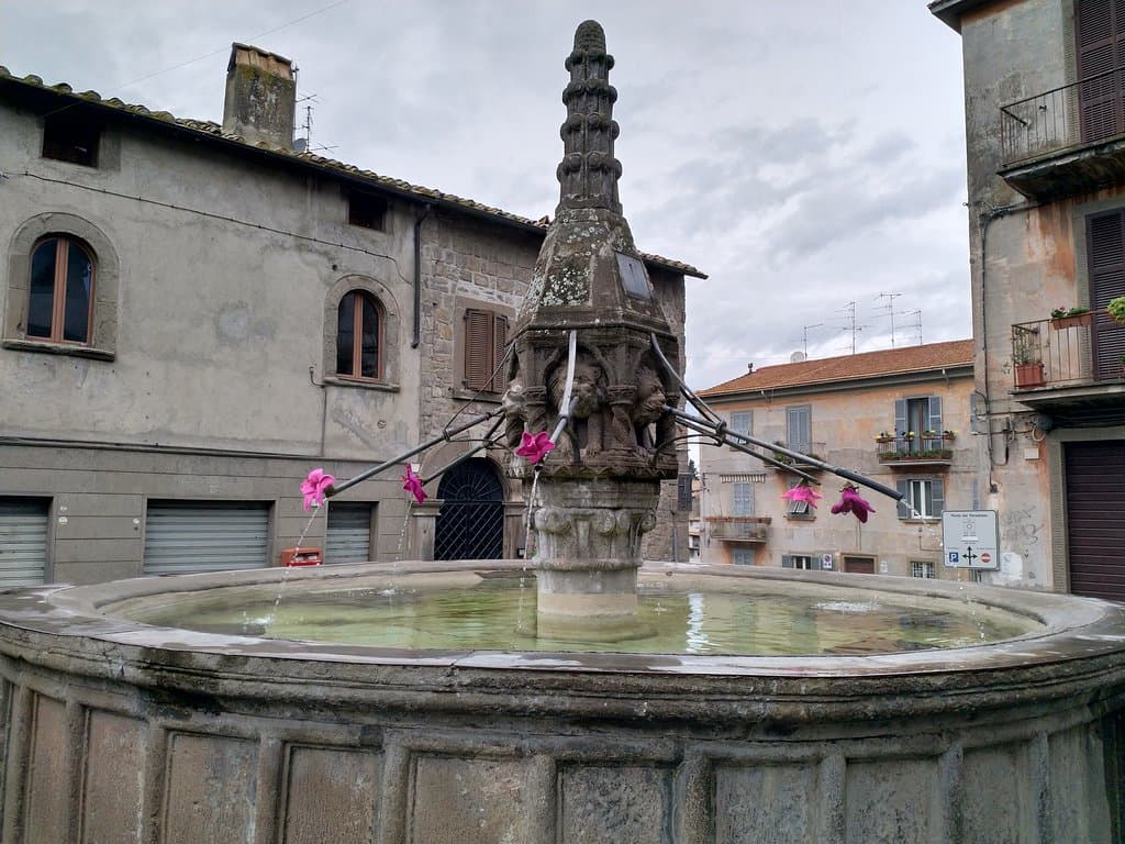Pretty flowers on the fountain
