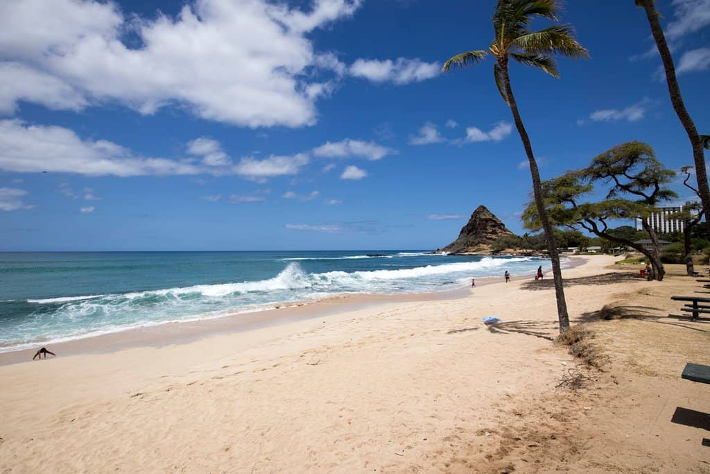 Surfer's Paradise