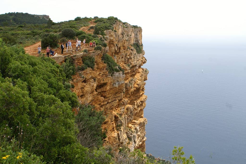 Sunday Pedestrian Paradise