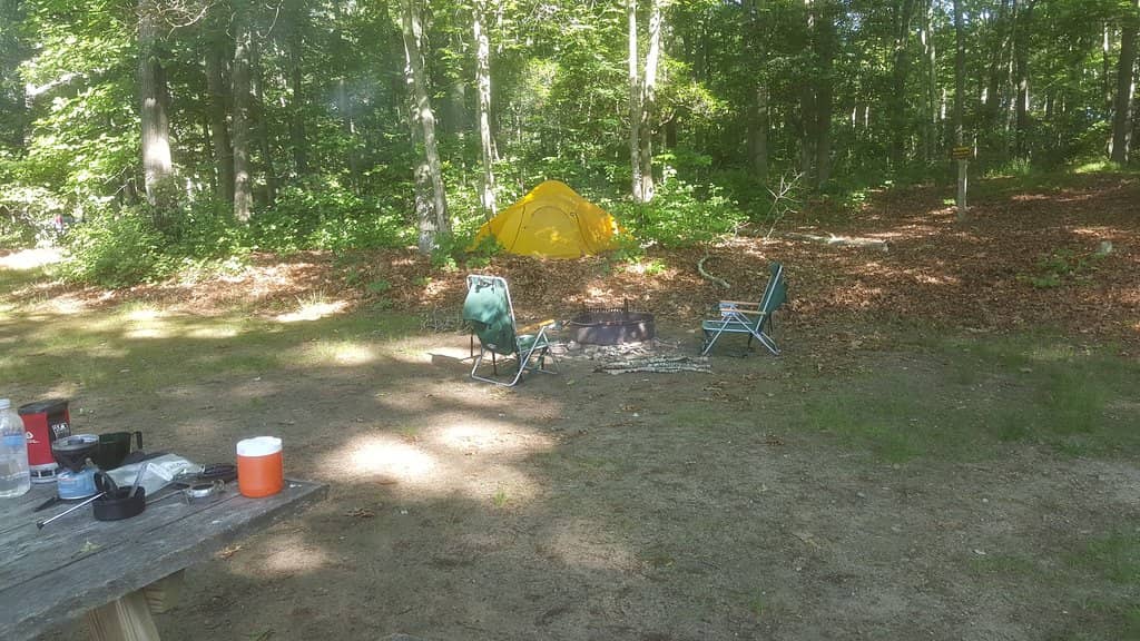 Bride Brook Salt Marsh