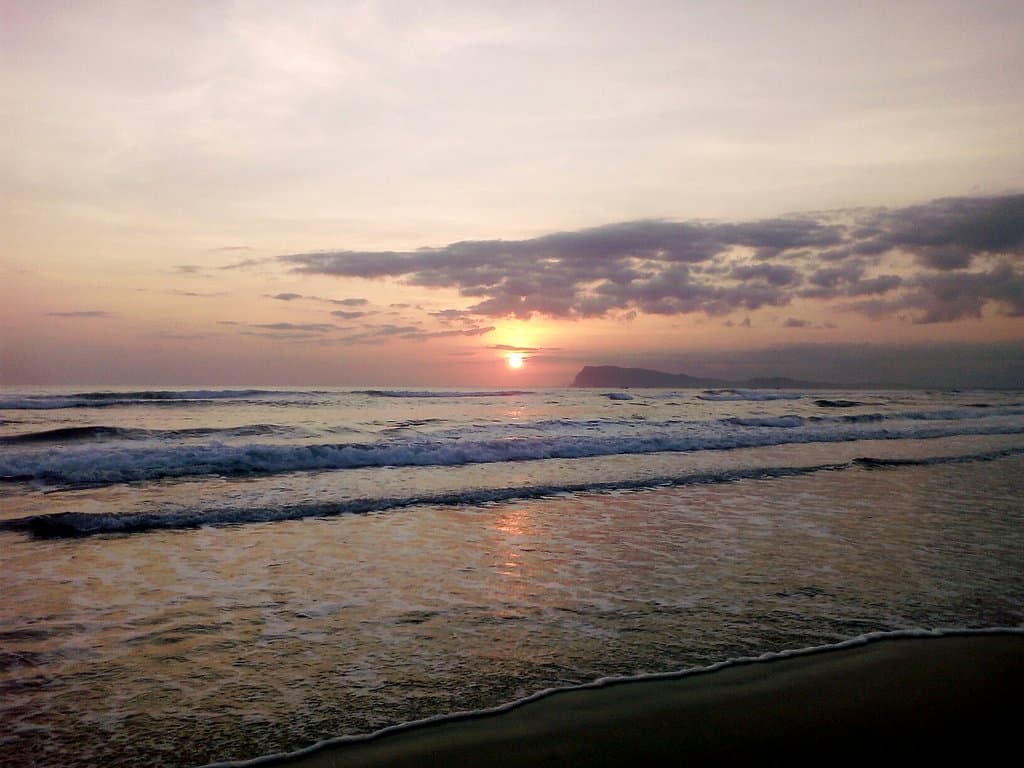 Alas Purwo National Park