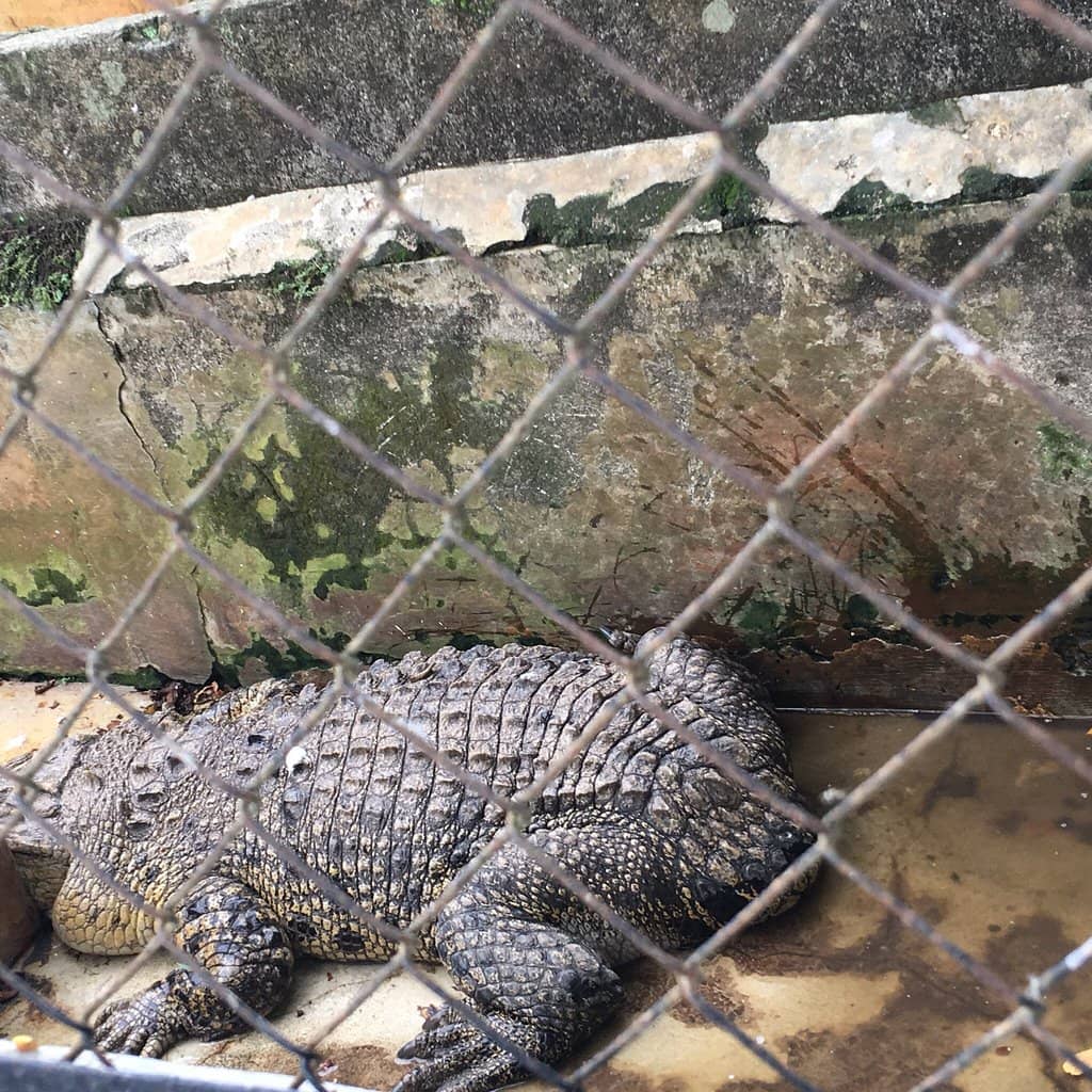 Educational Encounters