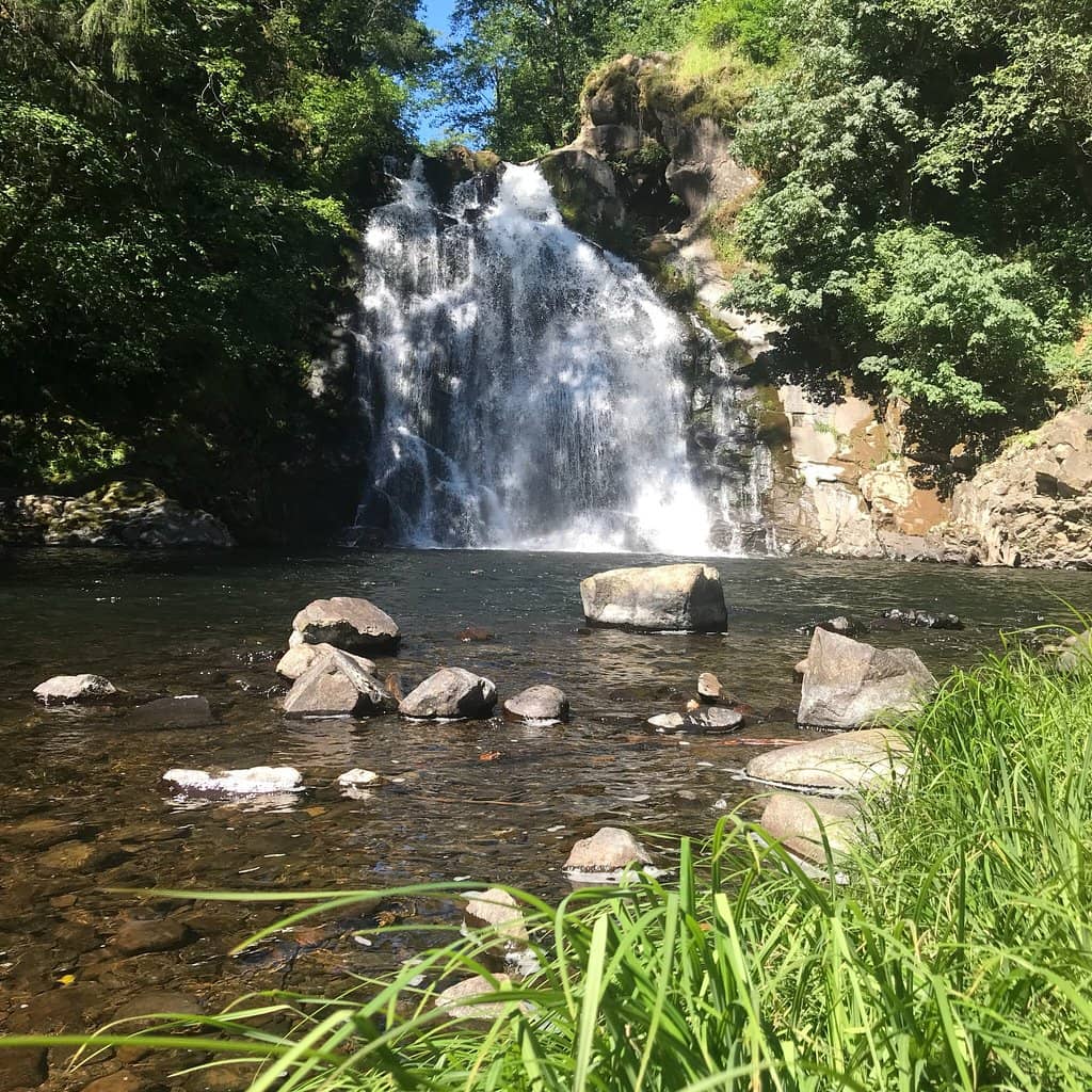 Easy Access Nature