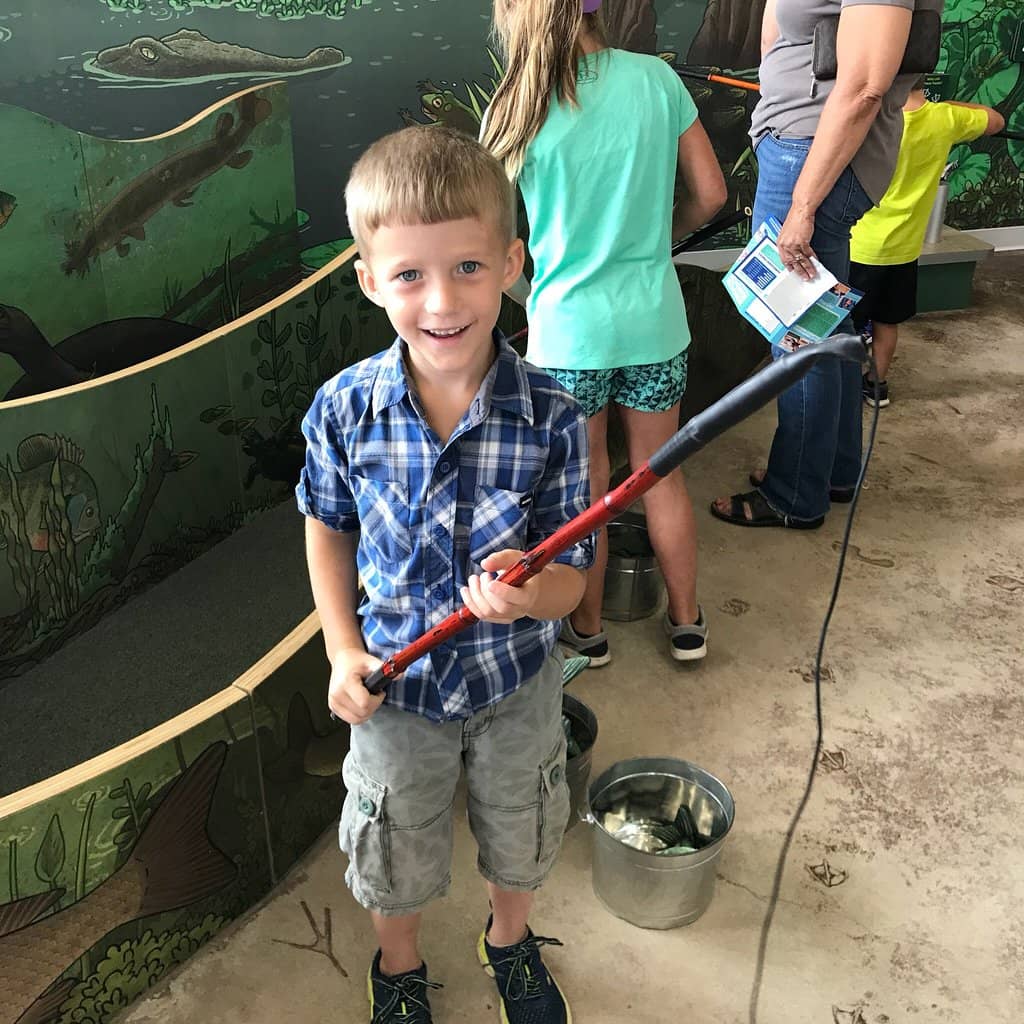 Interactive Exhibits