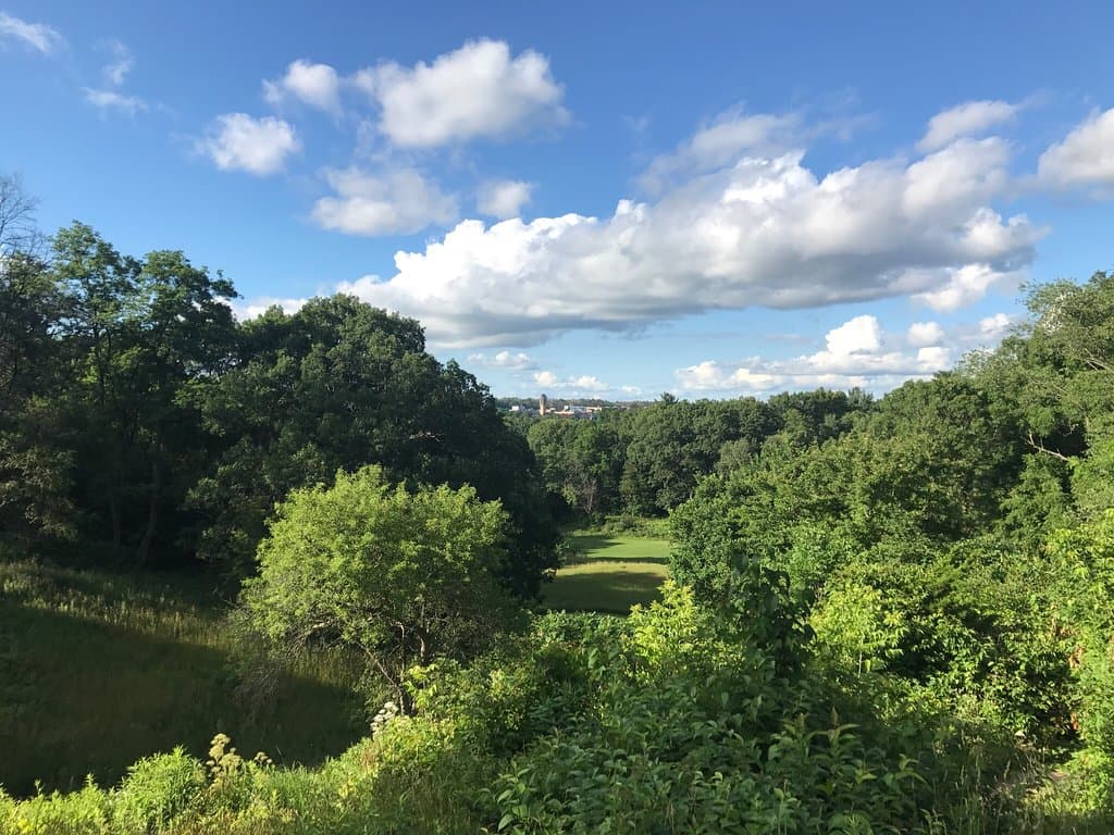 Nichols Arboretum Ann Arbor