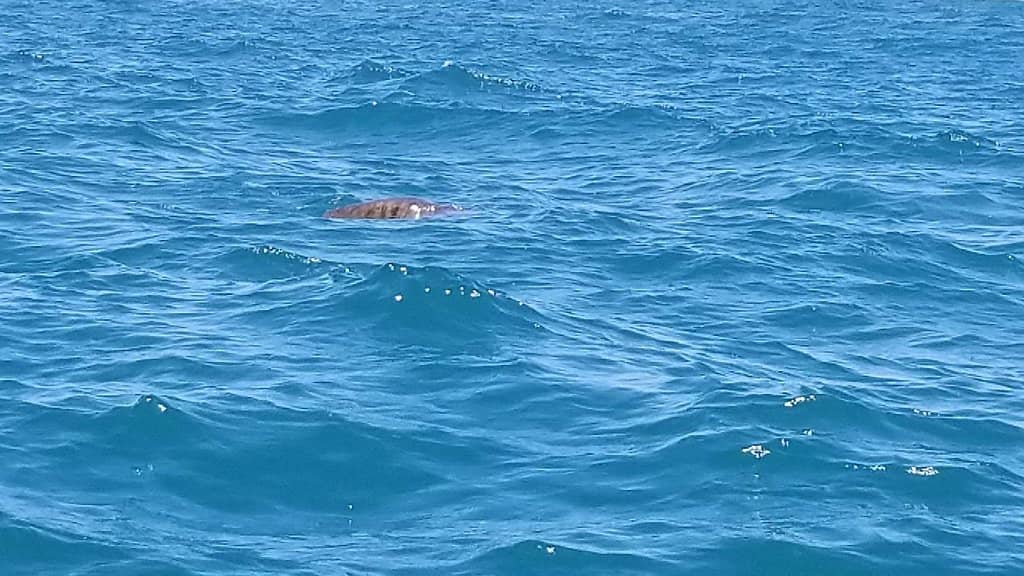 Crystal Clear Waters