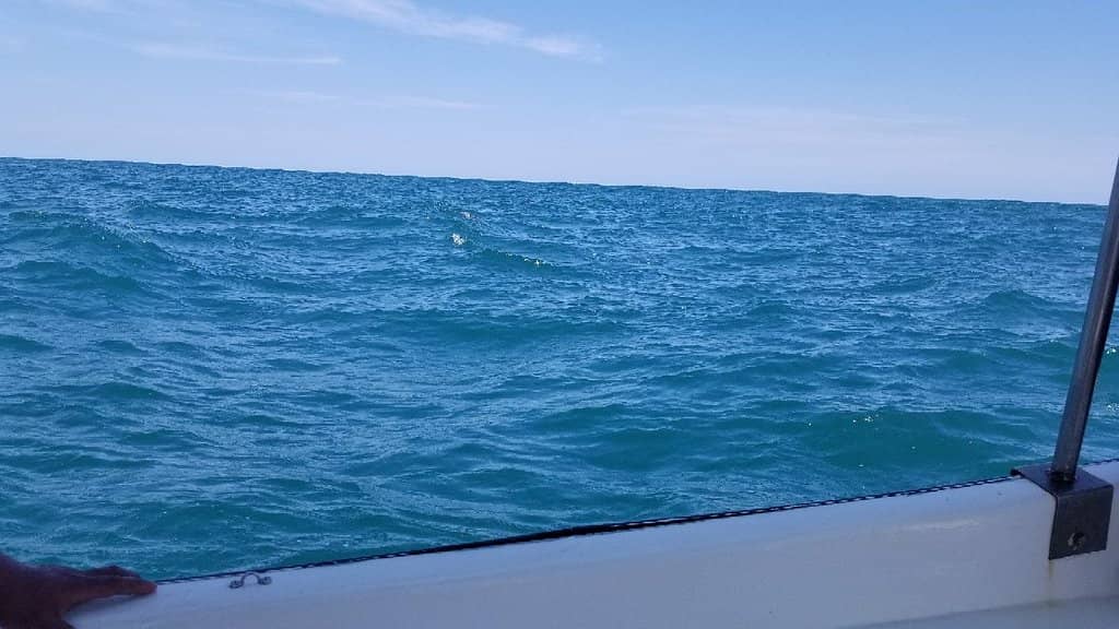 Vibrant Snorkeling Spots