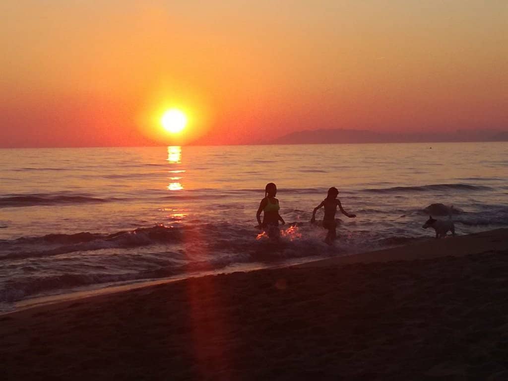 Untamed Dunes and Pine Forest