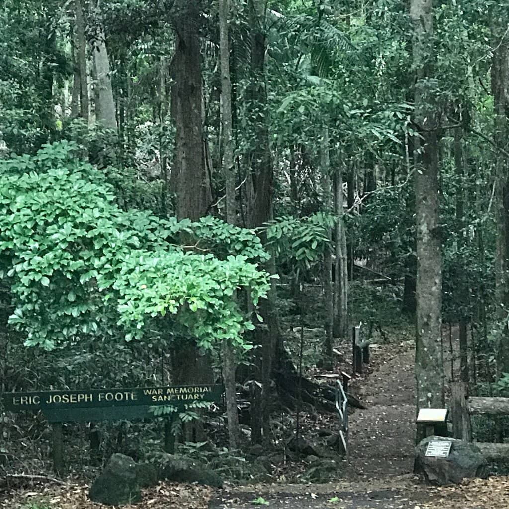 Lush Forest Trails