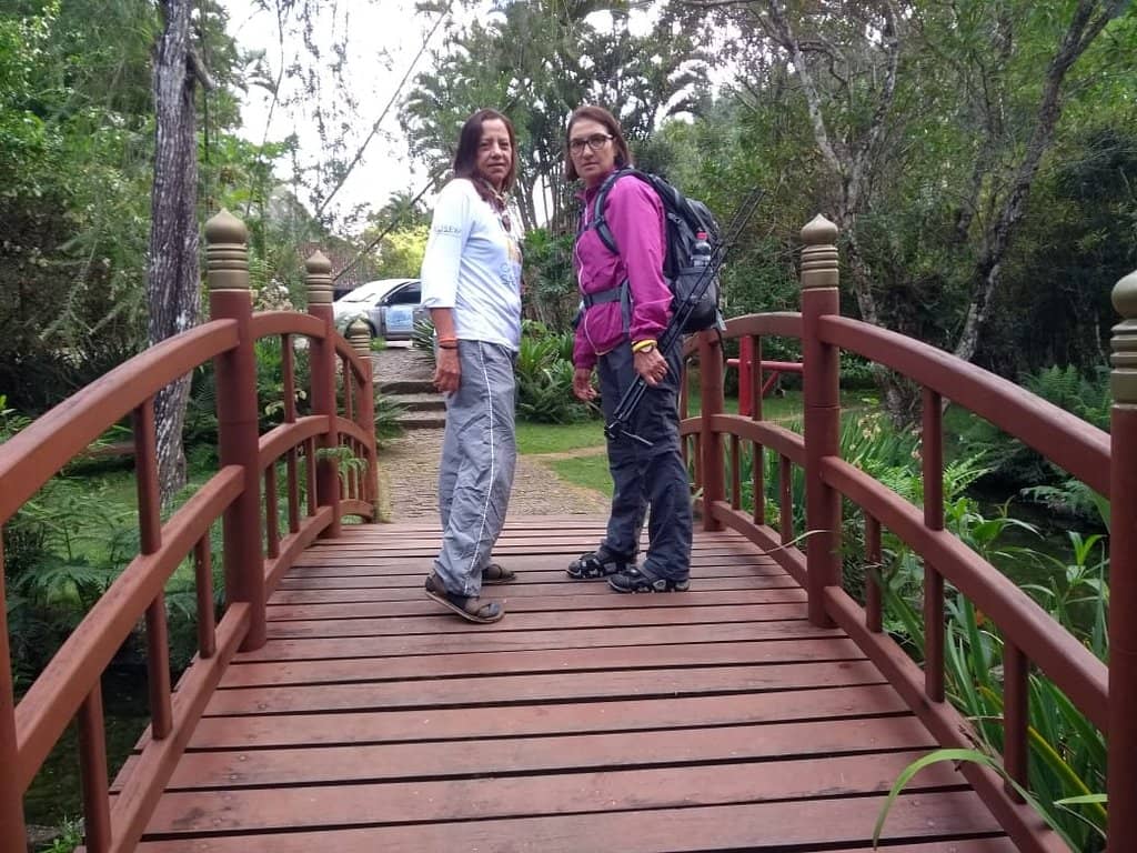 Zen Gardens and Serene Atmosphere