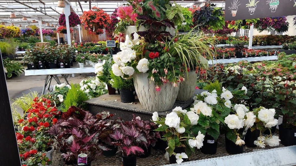 Molbak's Garden and Home