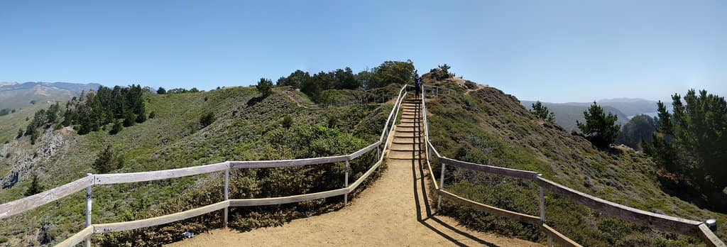 Vertical photo