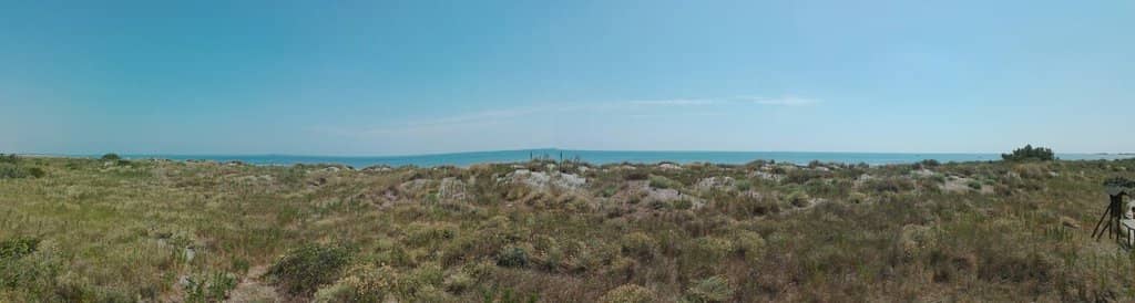 Bird Watching Opportunities