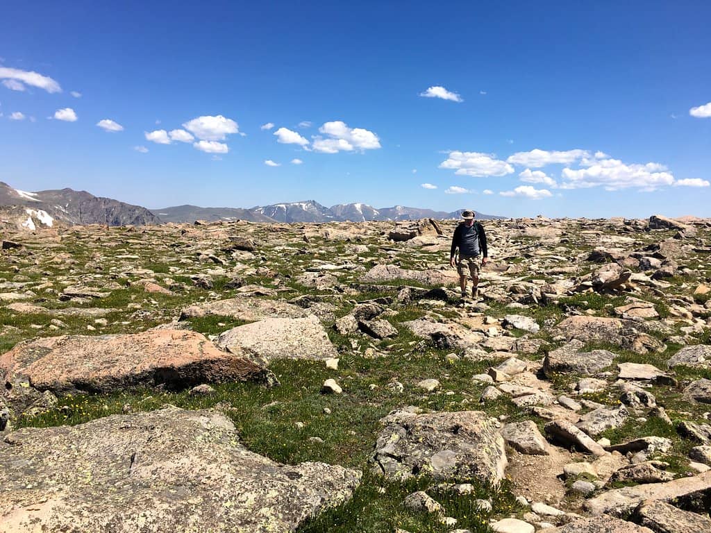 Tyndall Glacier & Rock Fields