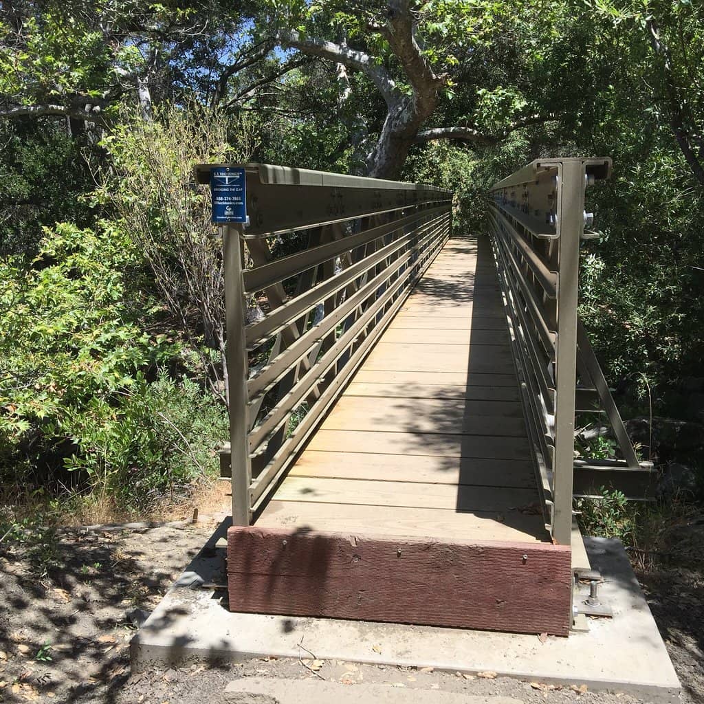 The 'M' Trail