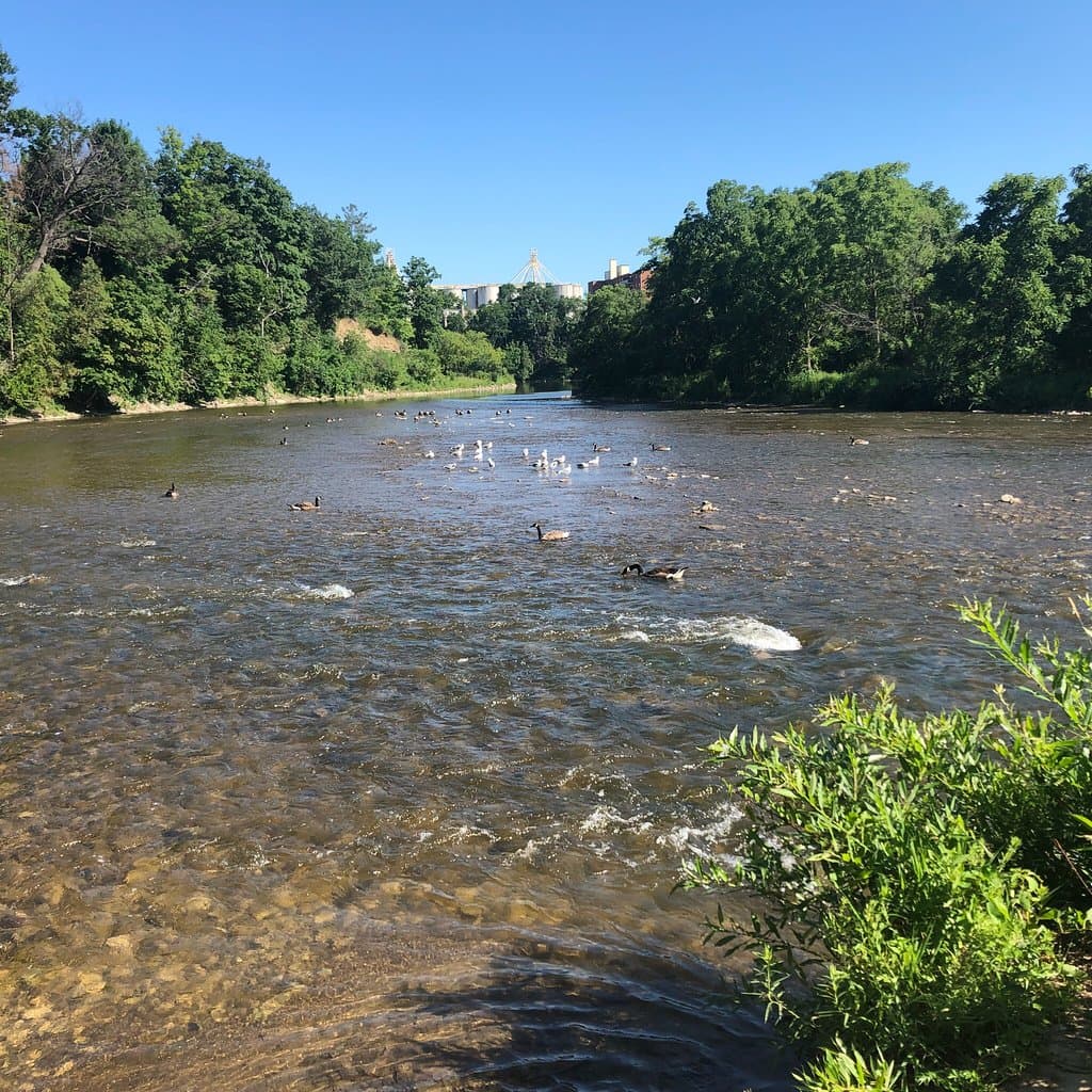 Streetsville Memorial Park