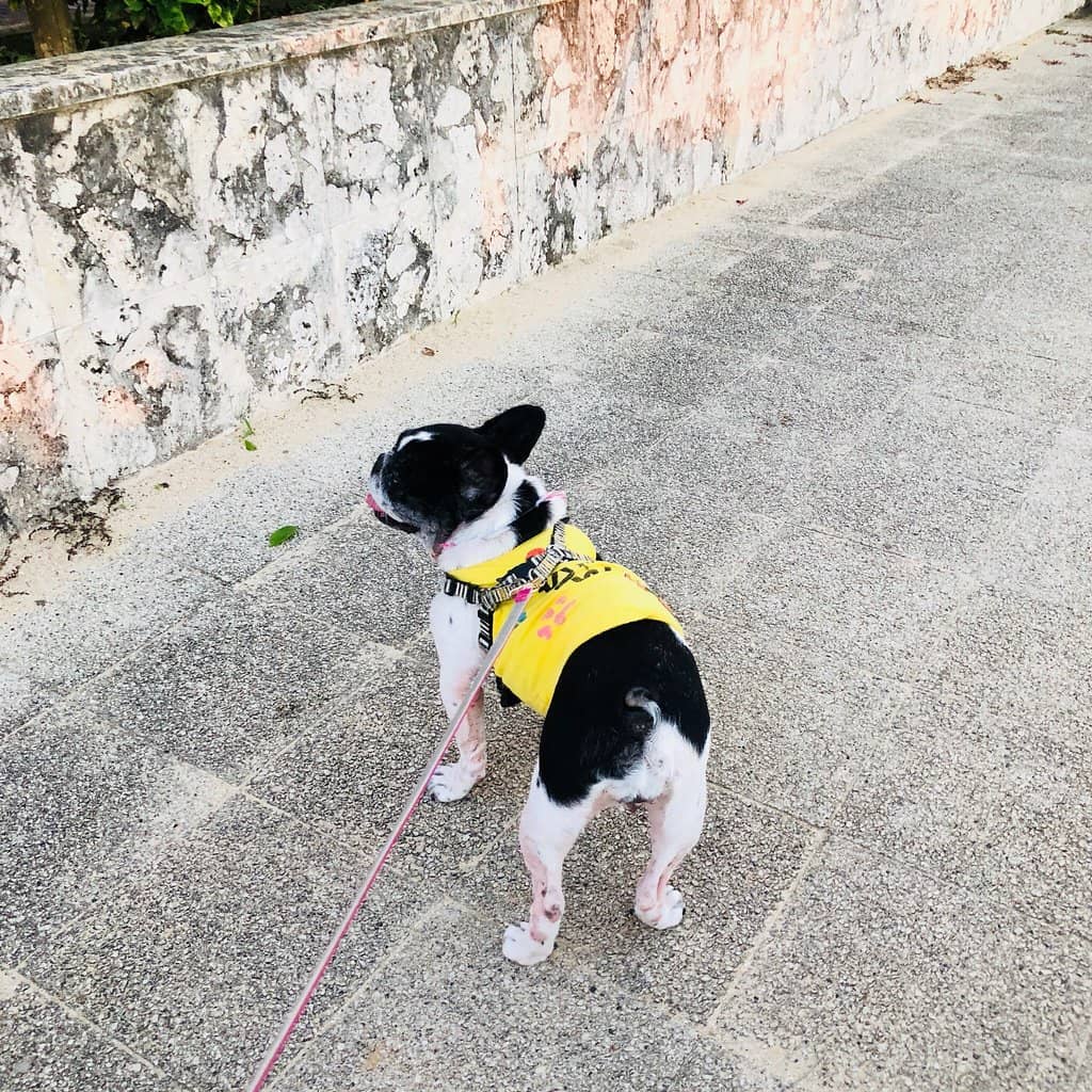 Naminoue Shrine Views