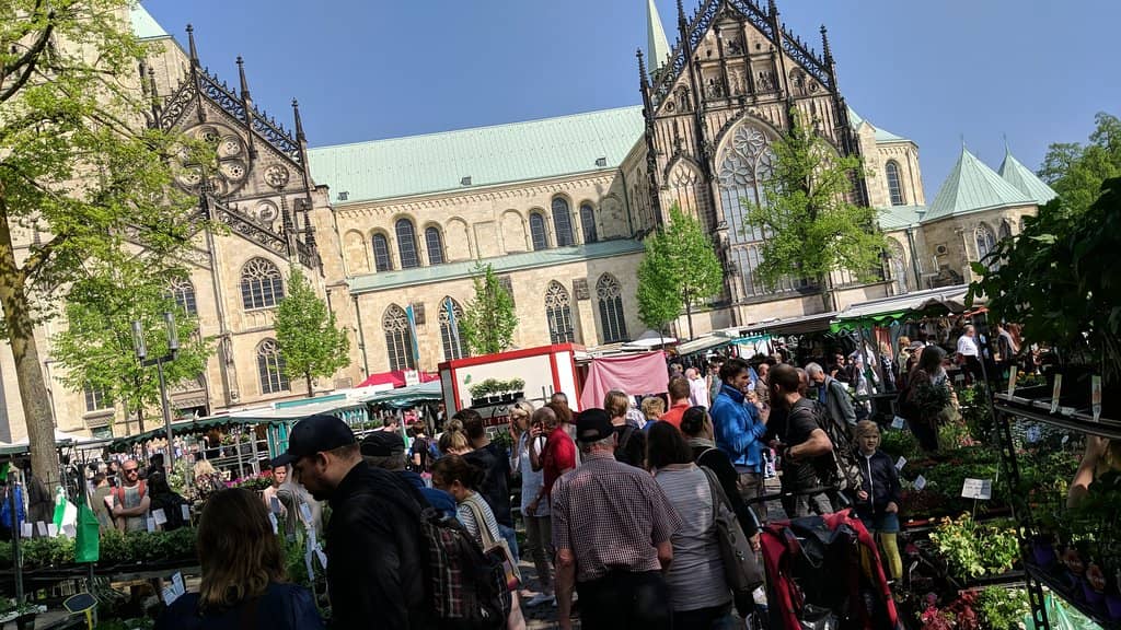 Fresh Produce Galore