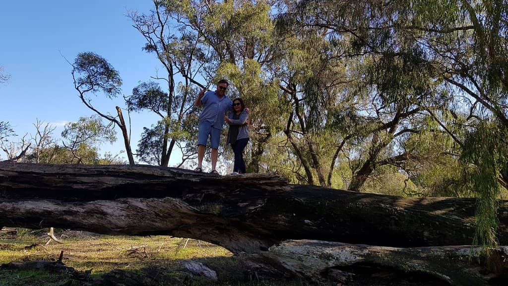 Rare Tuart Trees