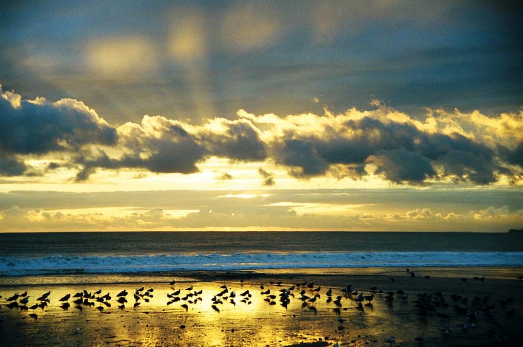 Seacliff State Beach and SS Palo Alto