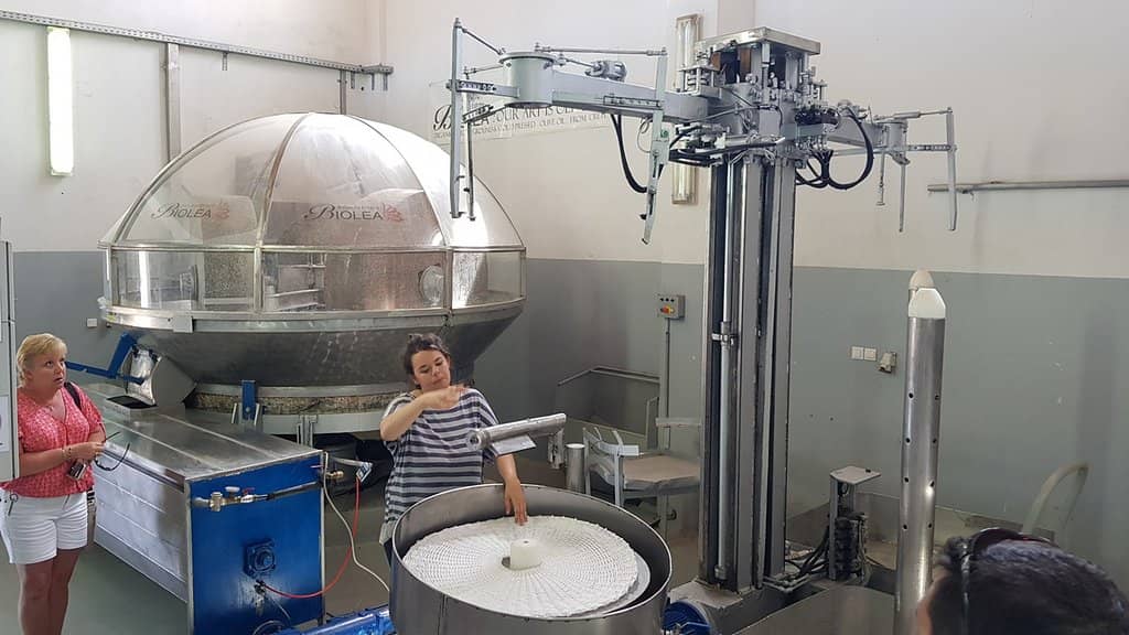 Farm-to-Table Dining