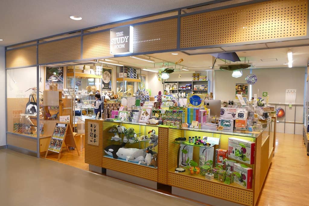 Indoor Learning Playground