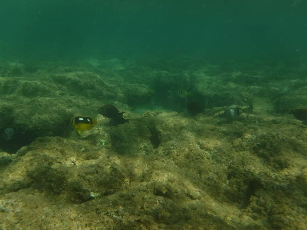 Calm, Warm Waters