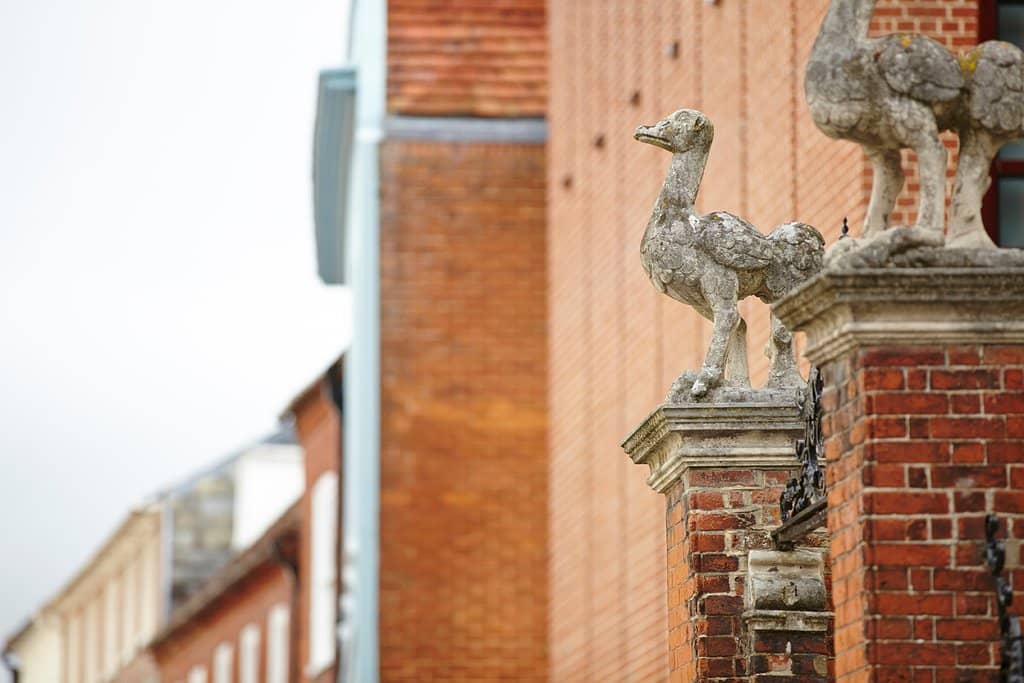 Rana Begum: No. 1367 Mesh