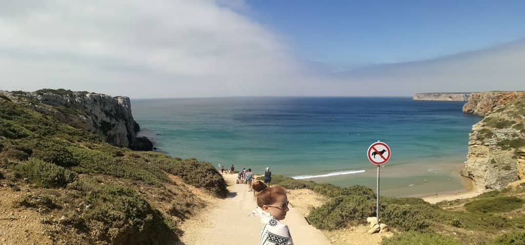Surfer's Paradise