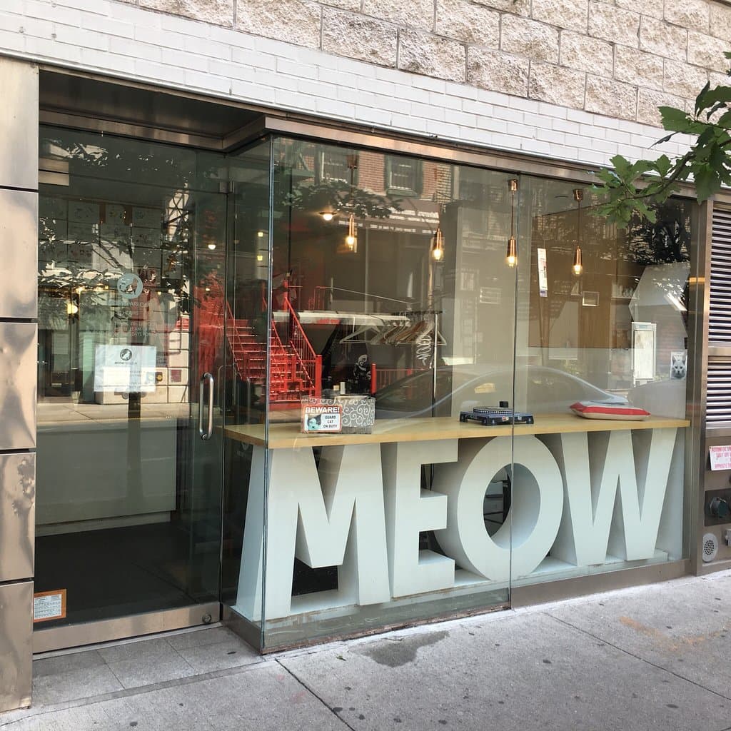 Visit a Cat Cafe