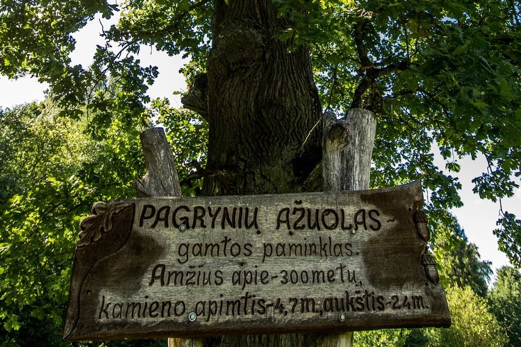 Mingė Village