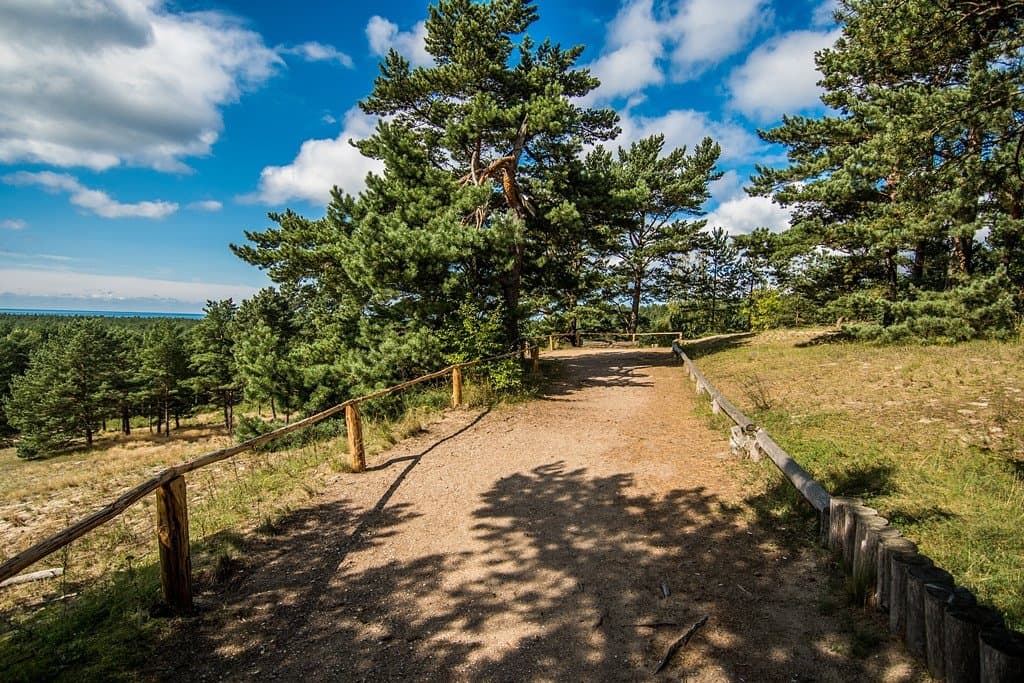 viewing site