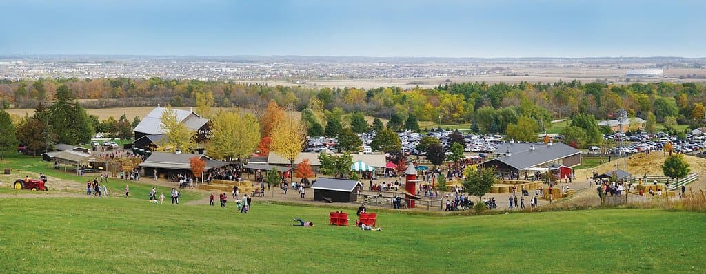 Escarpment Views