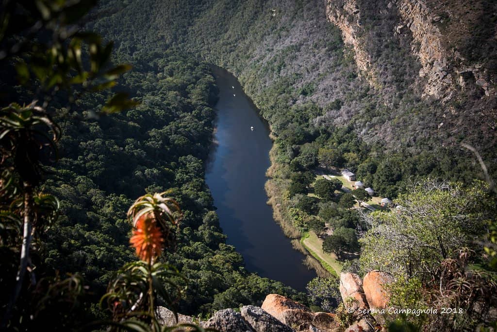 Ebb and Flow Picnic Area