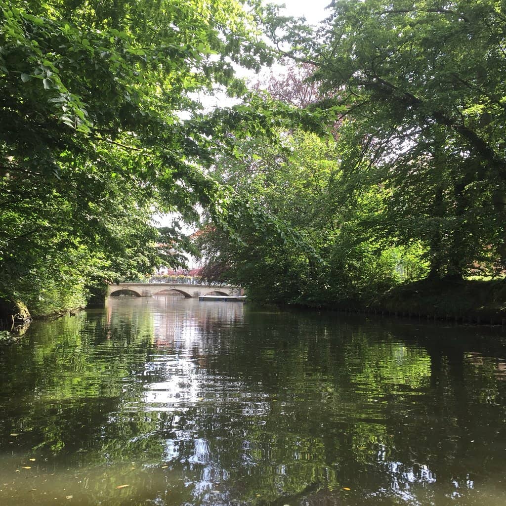 Passionate Local Guides