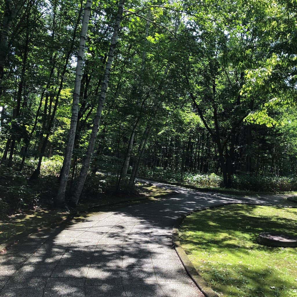 Lush Forests & Wildlife