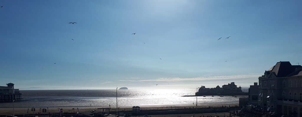 Expansive Sandy Beach