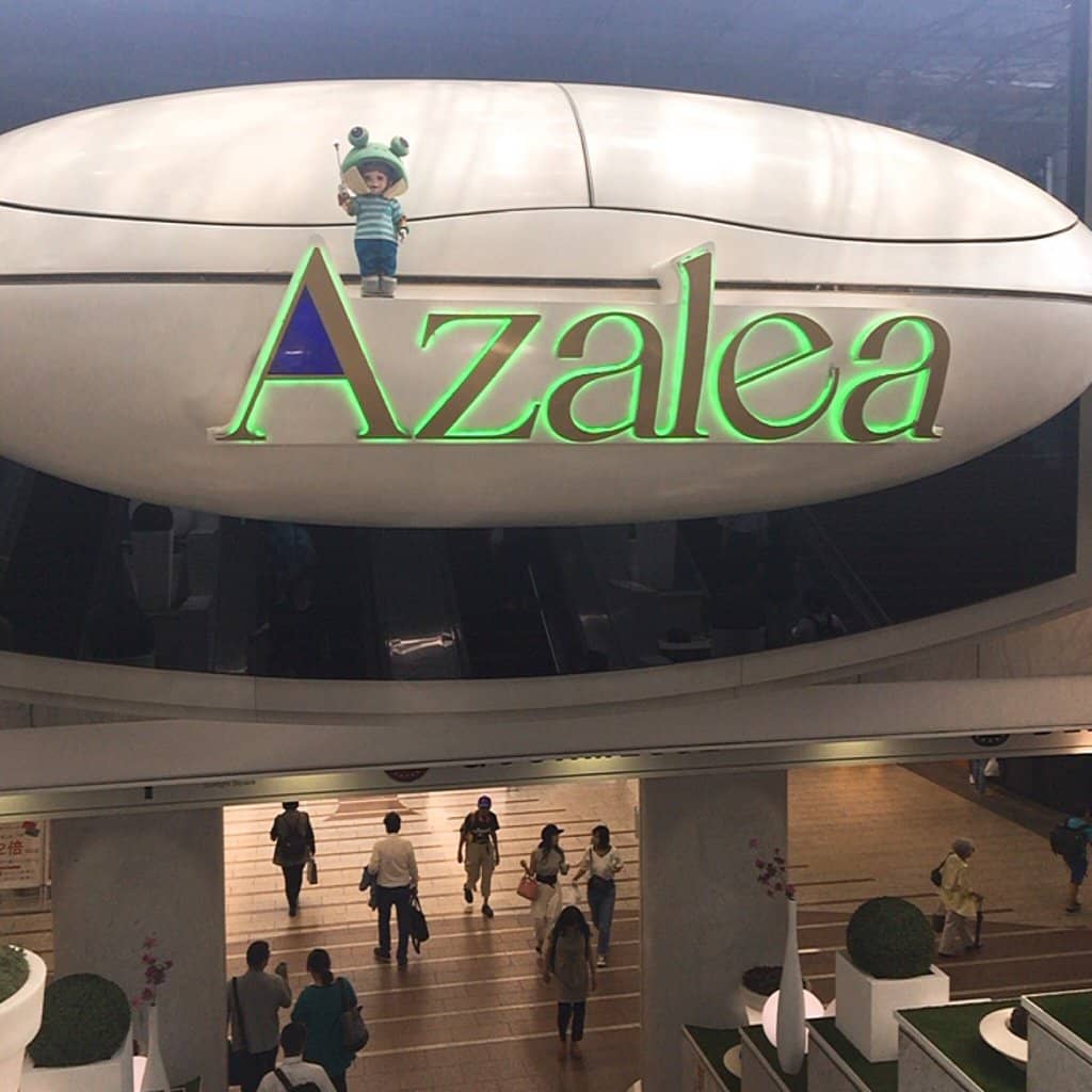 The Azalea Sign Spectacle