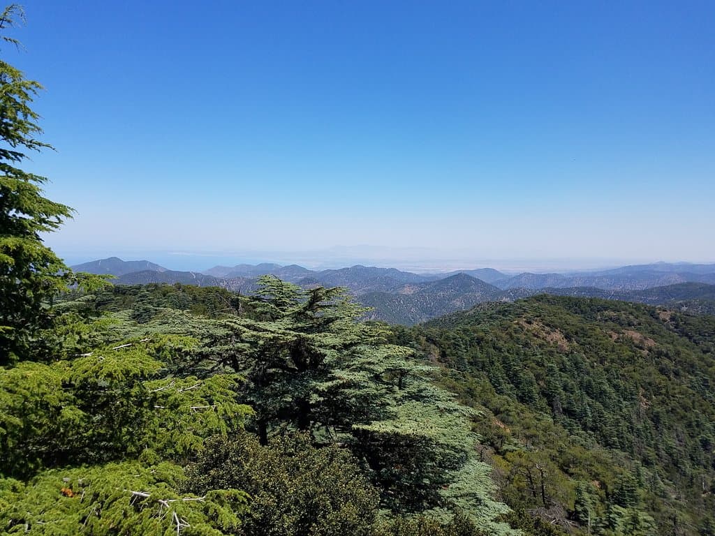 Cedar Valley