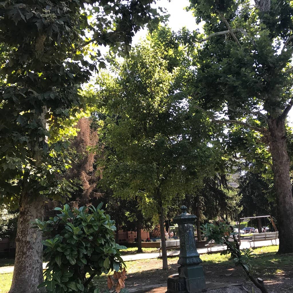 Vertical photo