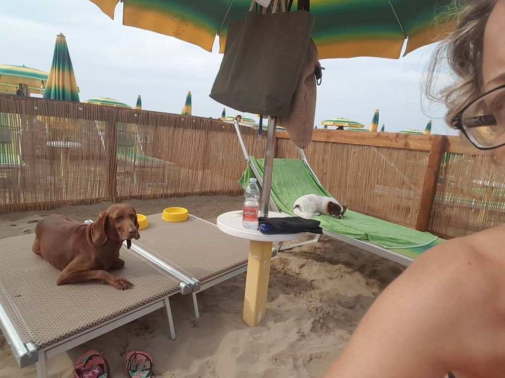 Clean and Equipped Shoreline