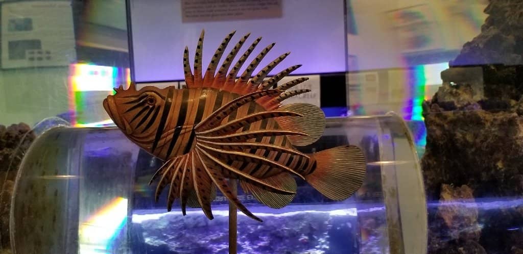 Interactive Marine Exhibits