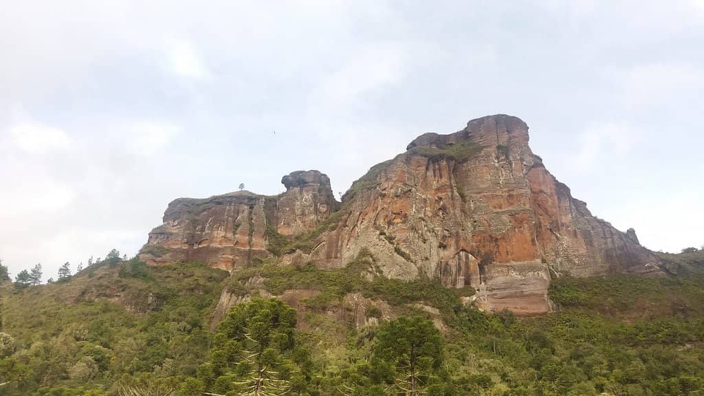 Towering Canyon Walls