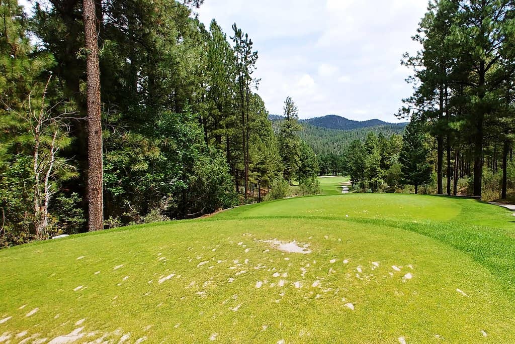 Championship Golf Course