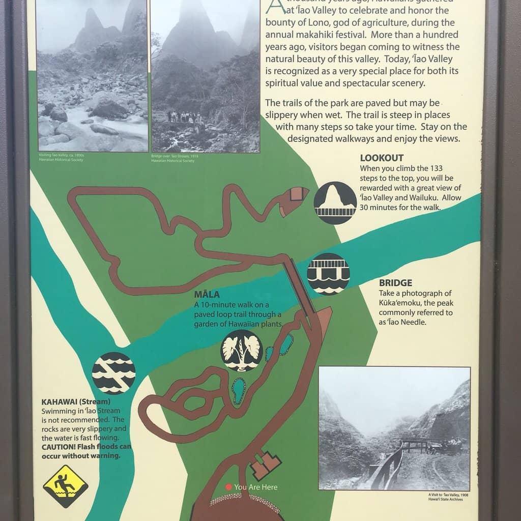 Lush Rainforest Trails