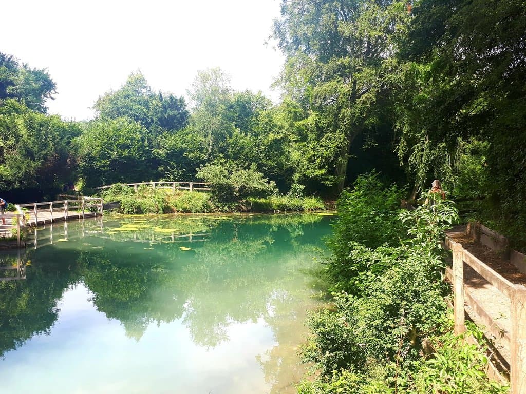 Silent Pool Surrey